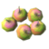 催吐莓