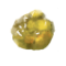 树脂