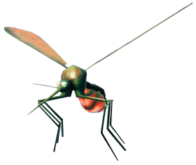 杀人蜂