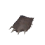 熊掌