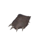 熊掌