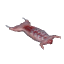 兔肉