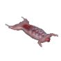 兔肉
