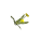 蒲公英