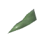 蜥蜴尾