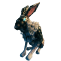 兔