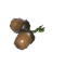 橡实