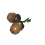 橡实
