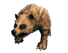 熊