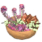 灰烬美食碗