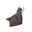 野猪战利品