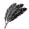 羽毛